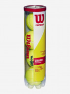 Мяч Wilson Championship Extra Duty 4Tball