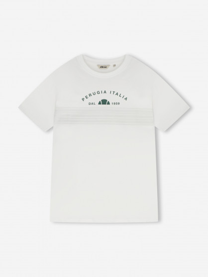 Ellesse ерлер футболкасы