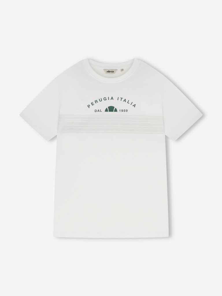 Ellesse ерлер футболкасы