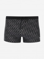 Плавки-шорты мужские Speedo Valmilton — фото №5