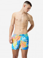 Шорты плавательные мужские Speedo