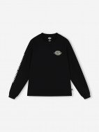 Лонгслив мужской DICKIES Nashport — фото №9