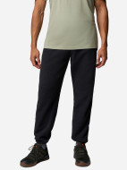 Брюки мужские Columbia Timber Crest Mtr Fleece Pant — фото №2