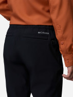 Брюки мужские Columbia Essential Hike Brushed Back Pant — фото №7