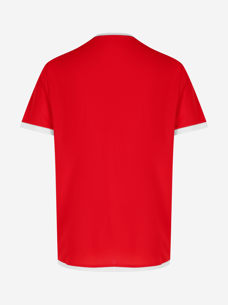 Футболка мужская PUMA Team Liga — фото №8