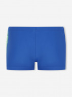 Joss ұлдарға арналған шорт-жүзулігі — фото №9