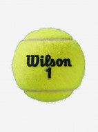 Набор теннисных мячей Wilson Roland Garros All Court 4 — фото №3