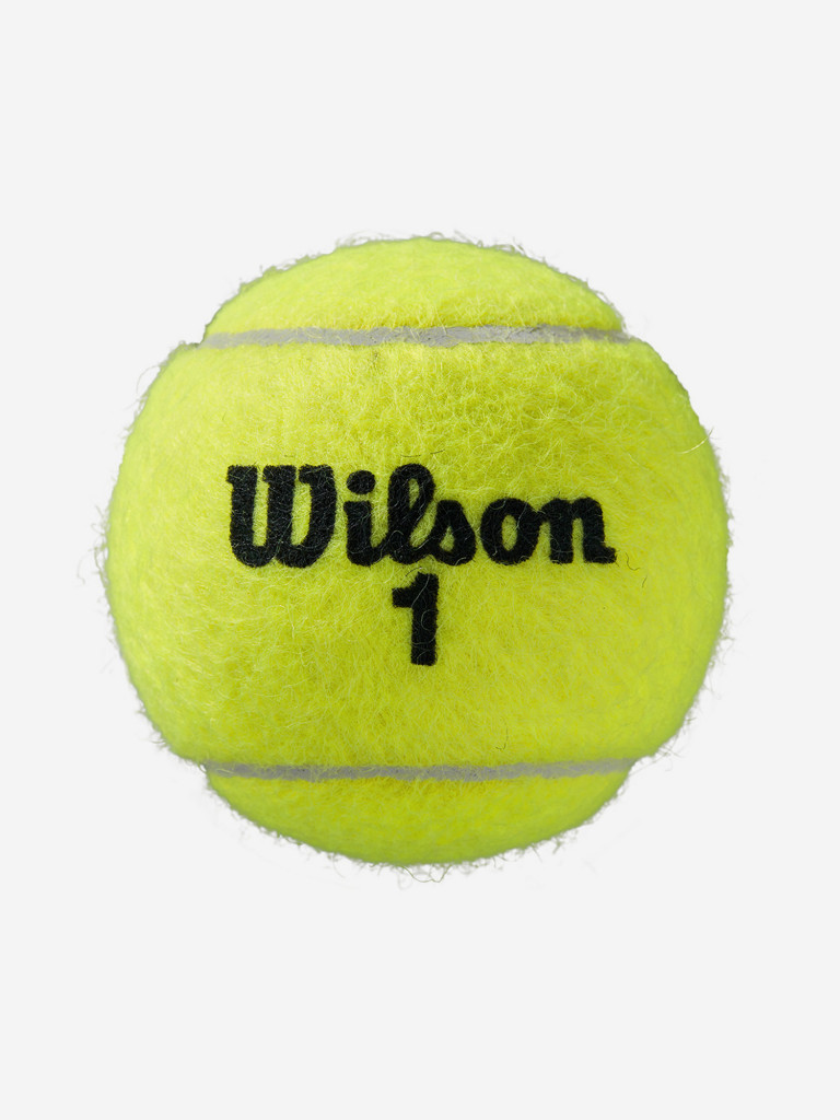Набор теннисных мячей Wilson Roland Garros All Court 4 — фото №3