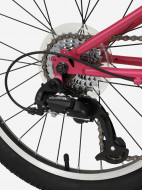 Велосипед для девочек Denton Shine 1.0 20" — фото №7