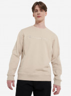 Champion ерлер свитшоты