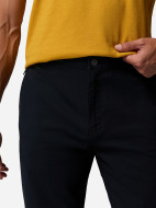 Брюки мужские Columbia Pitchstone Chino Pant — фото №5