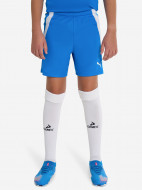 Шорты для мальчиков PUMA Teamliga Jr — фото №2
