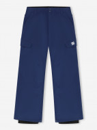 Брюки сноубордические мужские DC Shoes Banshee — фото №13