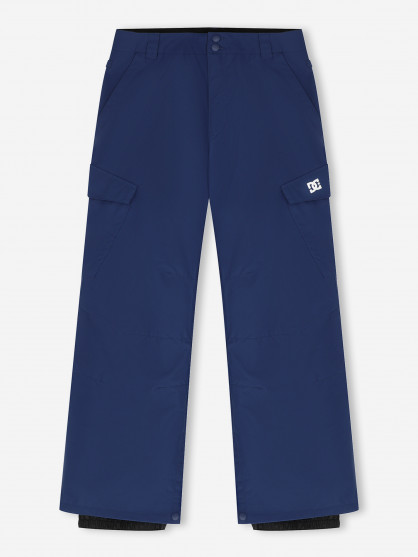 Брюки утепленные мужские DC Shoes Banshee