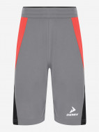 Demix ерлер шорты — фото №6