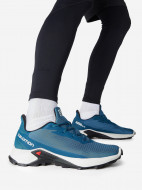 Кроссовки мужские Salomon Alphacross 3