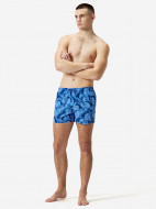 Шорты плавательные мужские Speedo Digi Print — фото №3