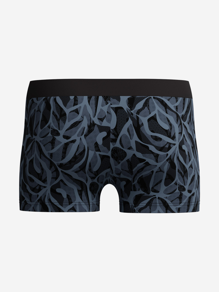 Плавки-шорты мужские Speedo Valmilton — фото №2