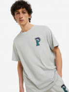 Футболка мужская PUMA