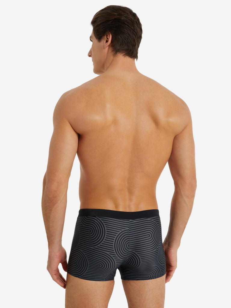 Плавки-шорты мужские Speedo Valmilton — фото №2
