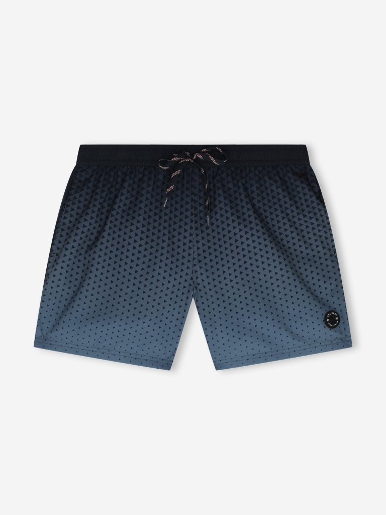 Шорты плавательные мужские Protest