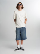 Шорты мужские DICKIES 13 Inch Loose — фото №4