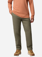 Брюки утепленные мужские Columbia Pitchstone Warm Lined Pant — фото №2