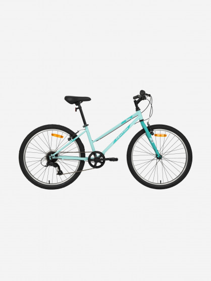Велосипед для девочек Denton Shine 1.0 24"