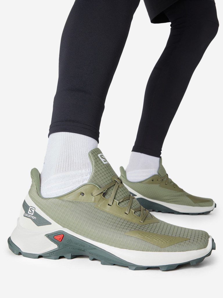 Кроссовки мужские Salomon Alphacross Blast