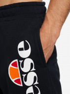 Шорты мужские Ellesse Bossini — фото №5
