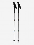 Camp Backcountry Pro 2.0 треккинг таяқтары