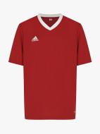 Футболка для мальчиков adidas Entrada 22 — фото №6