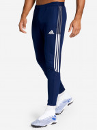 Брюки мужские adidas Tiro21 Training
