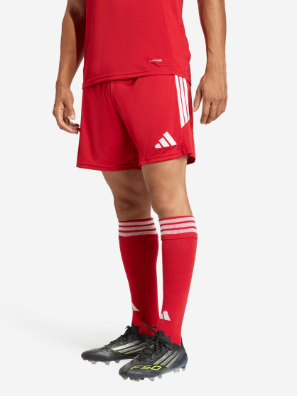 Шорты мужские adidas