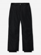 Брюки горнолыжные мужские Columbia Bugaboo VI Pant — фото №9