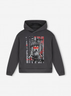 Demix ұлдарға арналған худиі