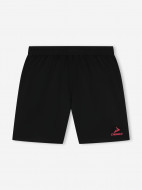 Шорты мужские Demix Playmaker