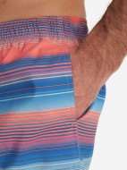 Шорты плавательные мужские Speedo Placement — фото №3