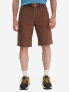 Шорты мужские Cordillero — фото №2