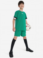 PUMA Teamrise ұлдар шорты — фото №4