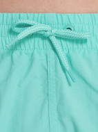 Шорты плавательные мужские Speedo Essentials — фото №3
