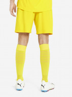 Шорты мужские PUMA Teamfinal — фото №2