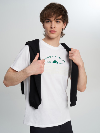Ellesse ерлер футболкасы