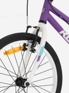 Велосипед для девочек Roces Amico 20" — фото №10