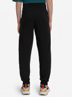 Брюки для мальчиков PUMA Ess Logo Lab Story 2 — фото №3