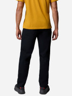 Брюки мужские Columbia Pitchstone Chino Pant — фото №3