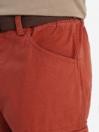 Cordillero ерлер шорты — фото №9