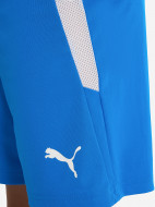 Шорты для мальчиков PUMA Teamliga Jr — фото №5