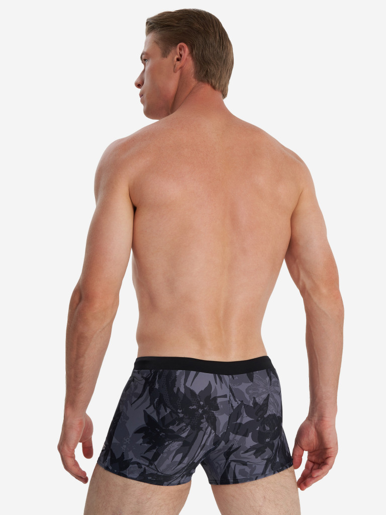 Плавки-шорты мужские Speedo Valmilton Alov — фото №2