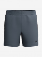 Шорты плавательные мужские Speedo Hyperboom